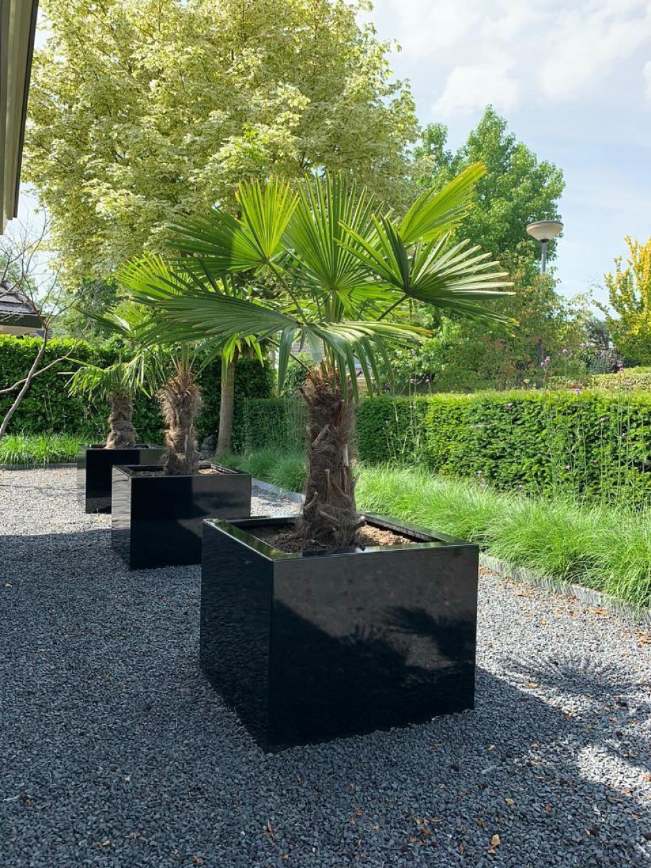 Foto: De Kruijff Machinebouw